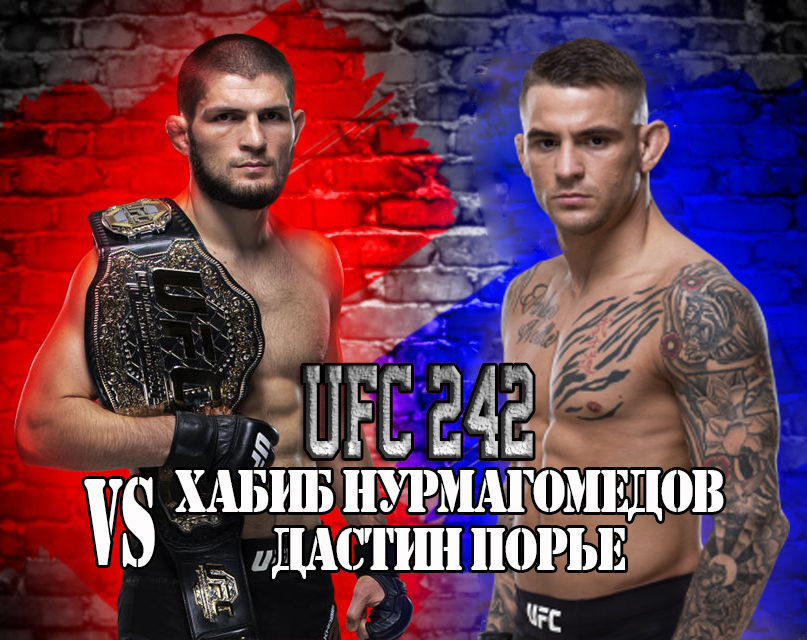 Бой Хабиб Нурмагомедов vs. Дастина Порье на UFC 242